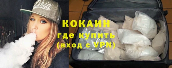 кокс Арсеньев